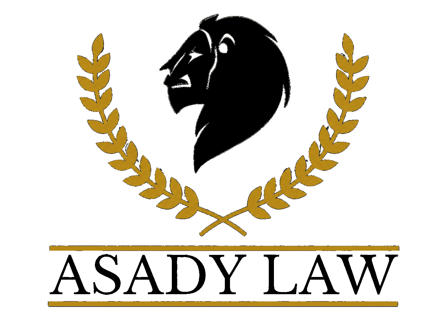 Asady Law